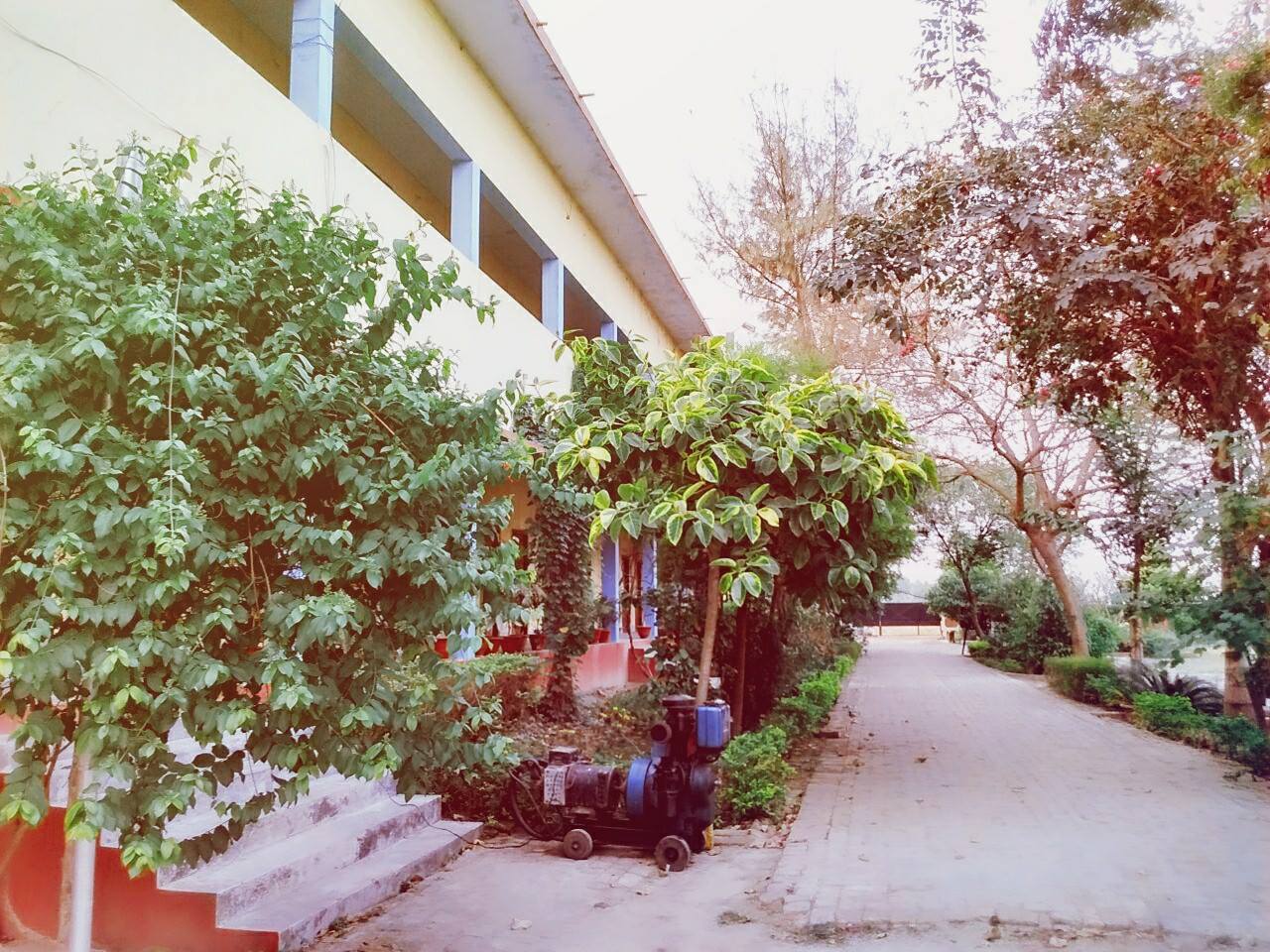 Government Polytechnic Basti